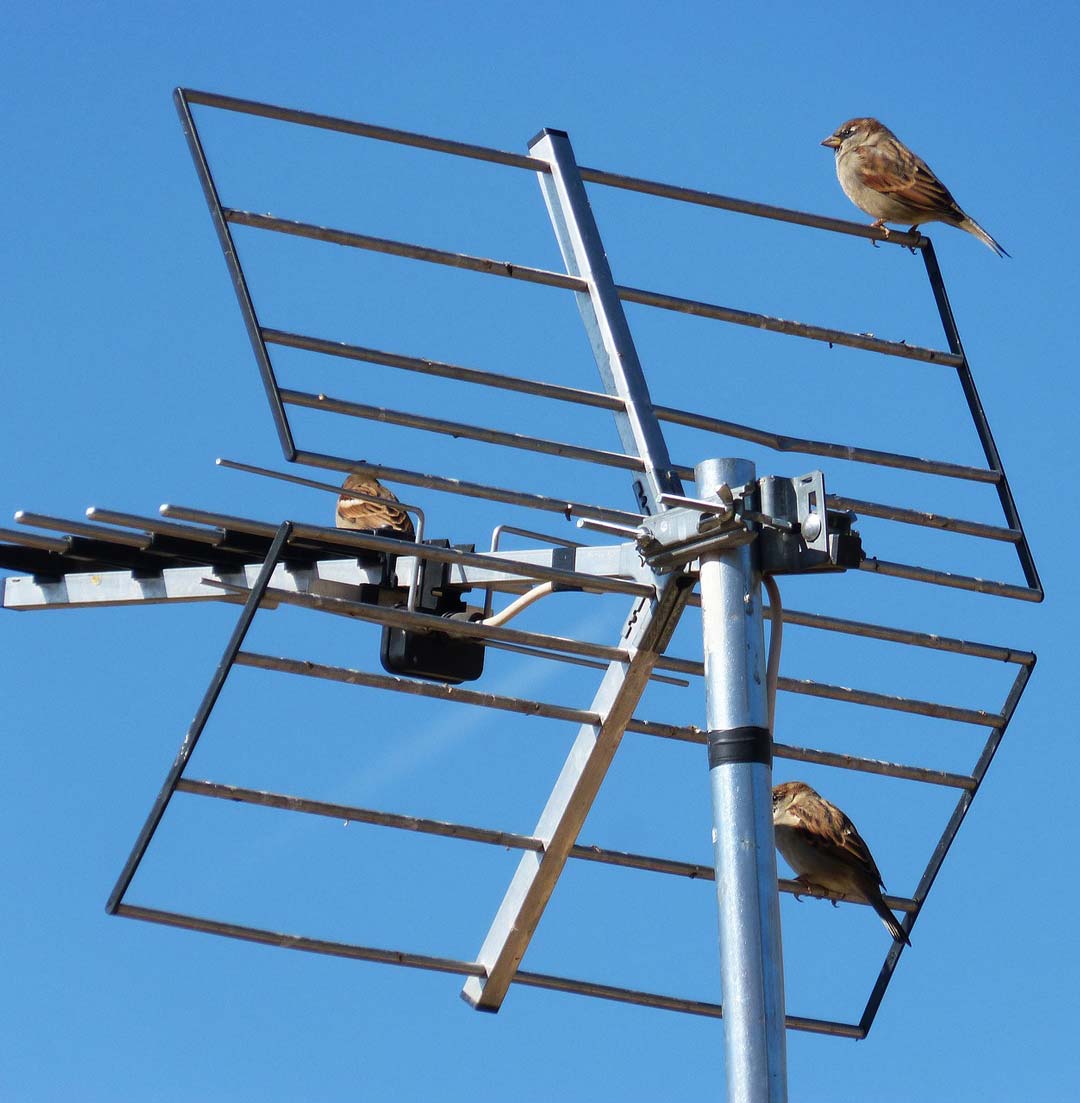 antenne hertzienne - alarme anti intrusion Vexin-sur-Epte